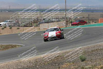 media/May-03-2025-Lucky Dog Racing (Sat) [[206de64b9d]]/Turn 4 B (1150am-130pm)/